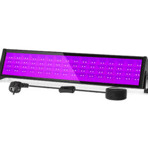 UV Blacklight